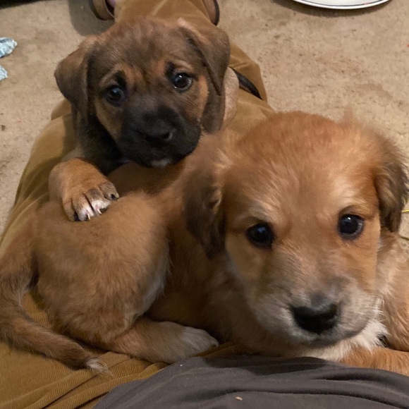 Meet your Posher - Picture 3 of 9